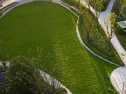 临平公园爆料最新消息今天 第1张 临平公园爆料最新消息今天 第1张