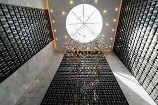 央视爆料抖音翡翠视频,揭秘翡翠市场背后的真相”  第2张